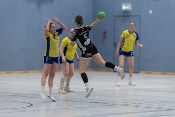 Bild 159 - F HSG Pinnau2 - Rellinger TV2 : Ergebnis: 27:20